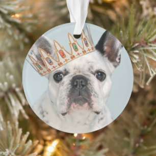 Ornamento Bulldog Francês com Coroa