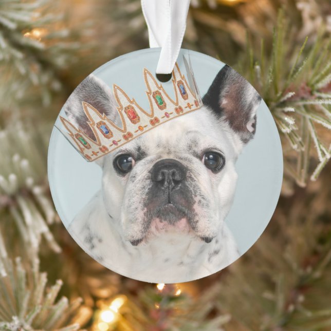 Ornamento Bulldog Francês com Coroa (Árvore)