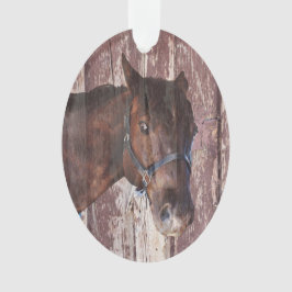 Ornamento Cabeça de cavalo anjada olhos castanhos me olham