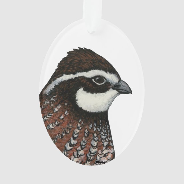 Ornamento Cabeça de Codorna Bobwhite (Verso)