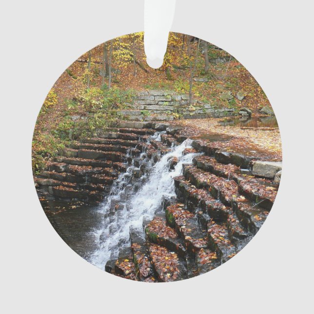 Ornamento Cachoeira no Laurel Hill State Park II (Frente)