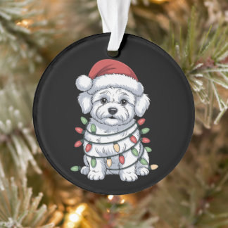 Ornamento Cachorro Bichon Frise de Natal Chapéu do Papai Noe