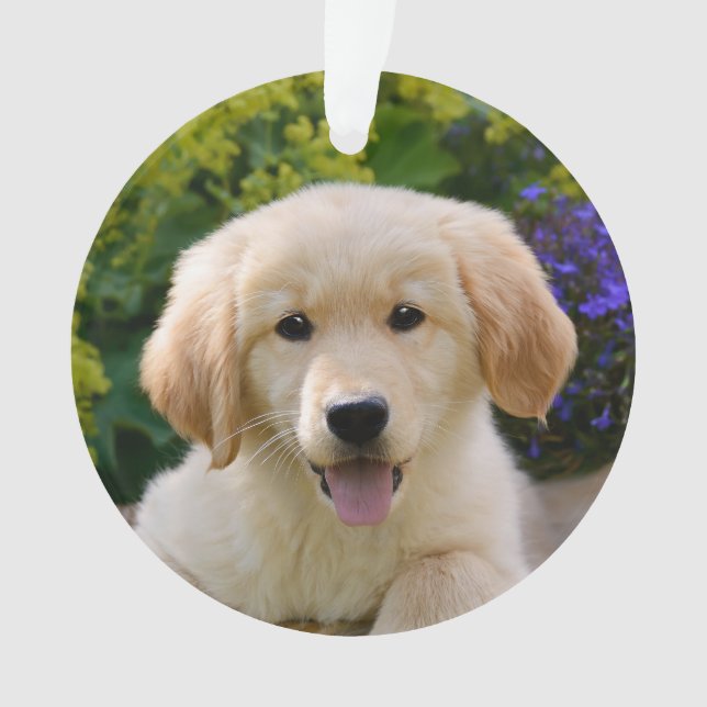 Ornamento Cachorro de Goldie Retriever Encantado - (Frente)