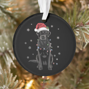 Ornamento Cachorro de Moletom com Luz de Árvore de Natal Lab