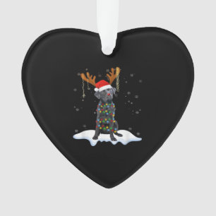 Ornamento Cachorro de pijama com luz de árvore de Natal Labr