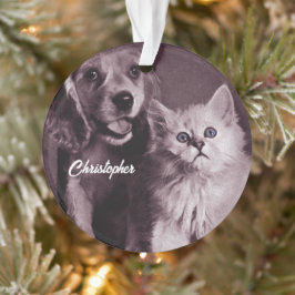 Ornamento Cachorro e Gato, Procurando Personalizado