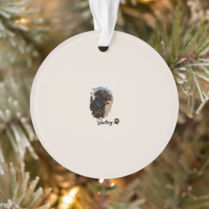 Ornamento Cachorro Labrador de Chocolate Bonito - Bailey P