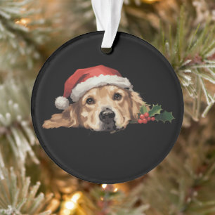 Ornamento Cachorro Retriever Dourado Chapéu de Natal do Papa