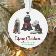 Cães de Natal Feliz