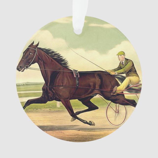 Ornamento Campeão Sulky SUPERIOR (Frente)
