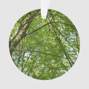 Ornamento Canopia de Primavera deixa cena ecológica