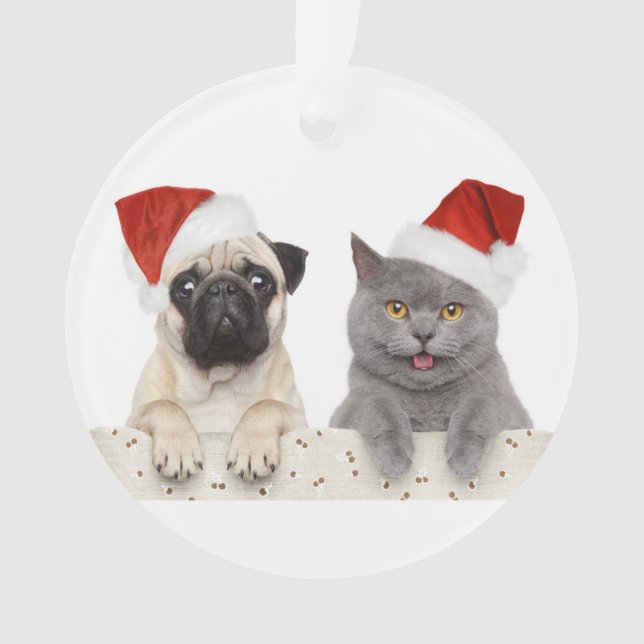 Ornamento Cão e gato no chapéu vermelho do Natal (Frente)