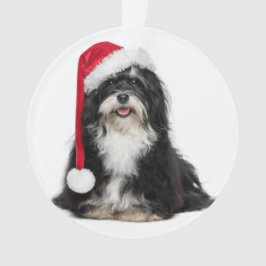Ornamento Cão engraçado de Havanese do Natal com chapéu do
