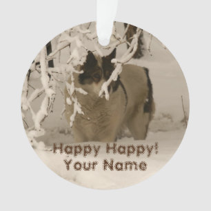 Ornamento Cão no inverno