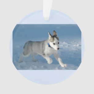 Ornamento Cãozinho correndo na neve