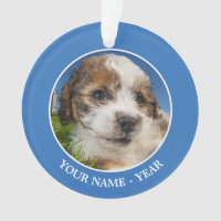 Cãozinho giro (Shitzu)