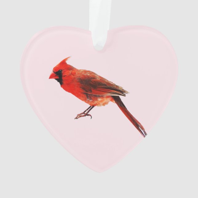 Ornamento Cardeal(s) (Verso)