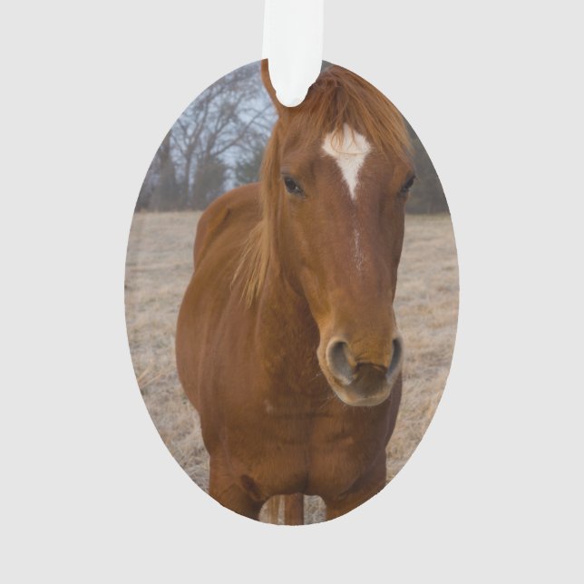 Ornamento Carneiro (Verso)