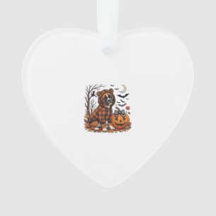 Ornamento Casaco com Capuz Xadrez de Cachorro Boxer Hallowee