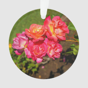 Ornamento Casaco de Joseph Rosa nº 1