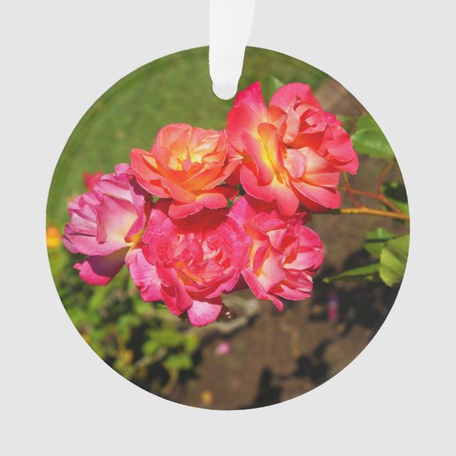 Ornamento Casaco de Joseph Rosa nº 1 (Frente)