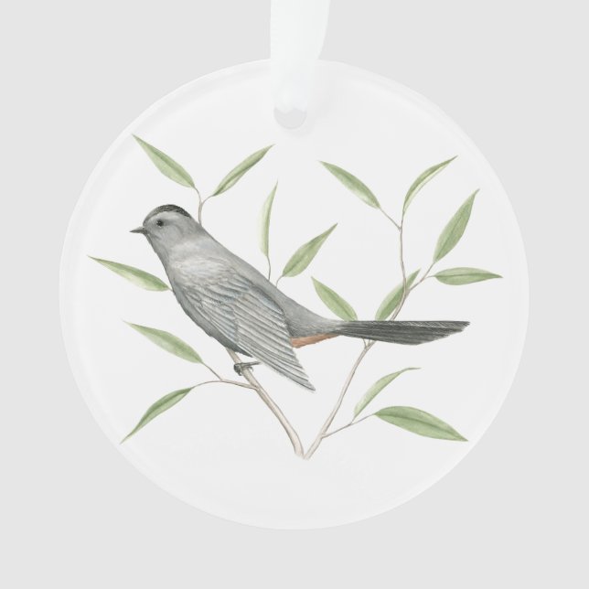 Ornamento Catbird cinzento (Frente)
