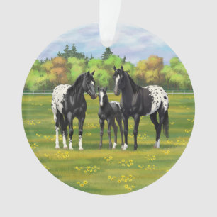 Ornamento Cavalos de Appaloosa Pretos Na Pastagem De Verão