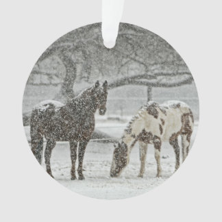 Ornamento Cavalos na neve