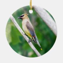Ornamento Cedar Waxwing