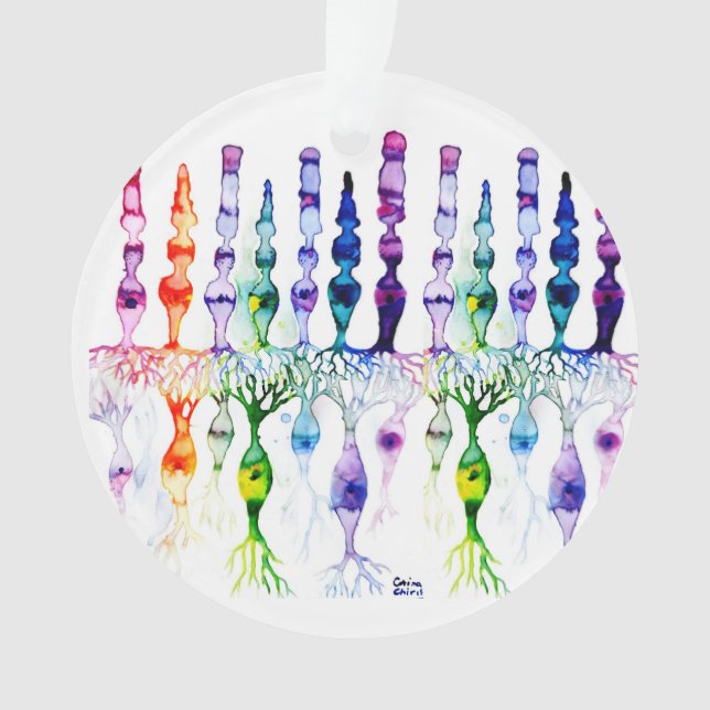 Ornamento Células de cone e neurônios bipolares da retina (Frente)