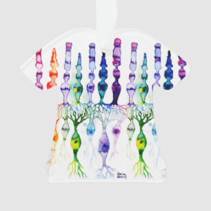 Ornamento Células de cone e neurônios bipolares da retina