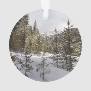 Ornamento Cena da Montanha Snowy de inverno em Montana