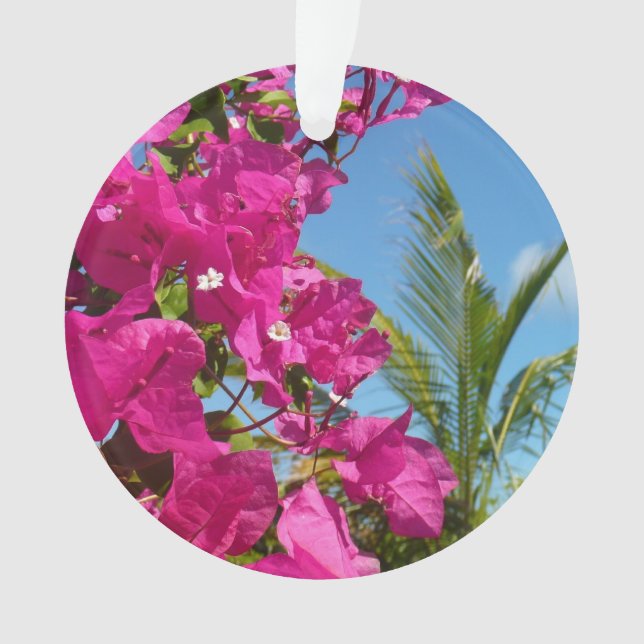 Ornamento Cena da Natureza Tropical de Bougainvillea e Palm  (Frente)