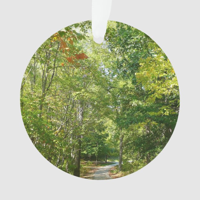 Ornamento Centenário Caminho Wooded I Natureza da Cidade Ell (Frente)