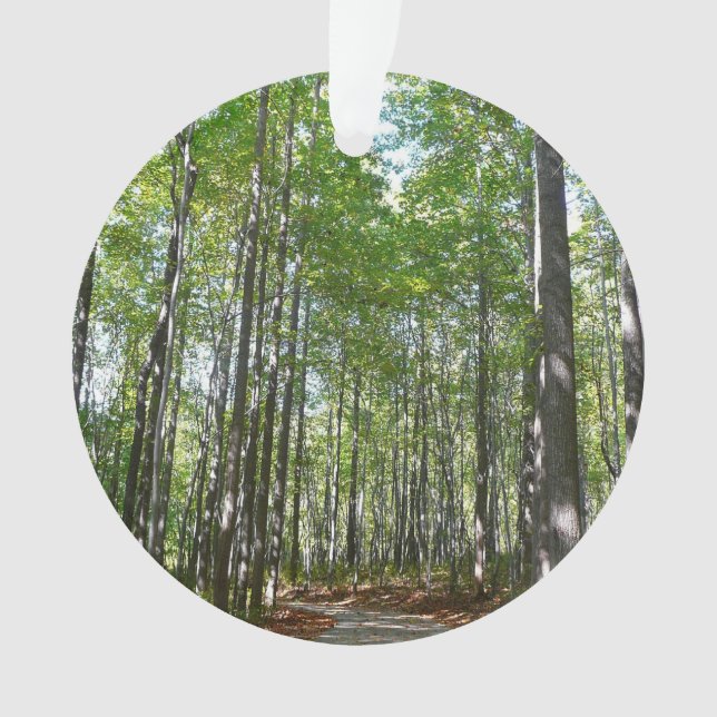 Ornamento Centennial Wooded Path II Ellicott City Maryland (Frente)