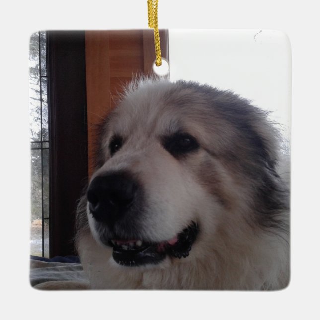 Ornamento cerâmico (Frente)