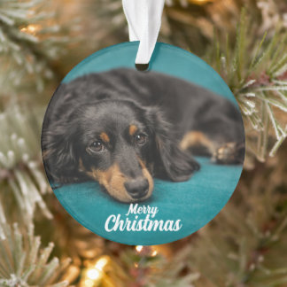 Ornamento cerâmico Cachorro Feliz de Natal