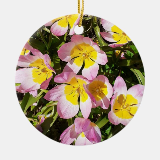 Ornamento Cerâmico das Flores Rosa e Amarelo (Frente)