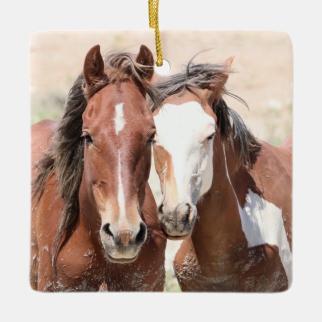 Ornamento Cerâmico de Cavalos Selvagens de Lava-Ar (Frente)