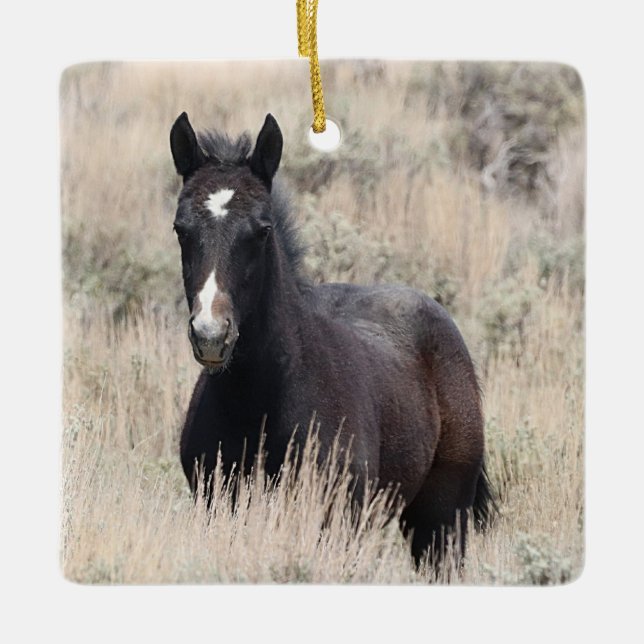 Ornamento Cerâmico de Cavalos Selvagens de Lava-Ar (Frente)