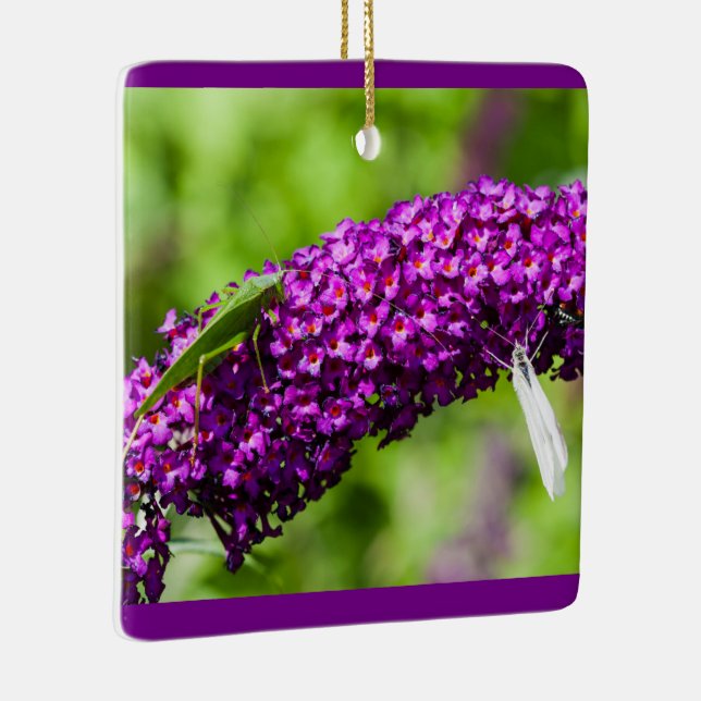 ornamento cerâmico de energia katydid (Direito )