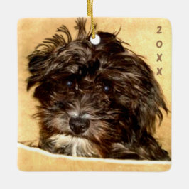Ornamento Cerâmico Schnoodle