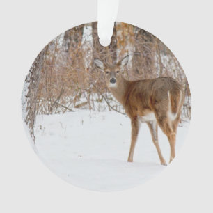 Ornamento Cervos do fanfarrão do botão no campo nevado