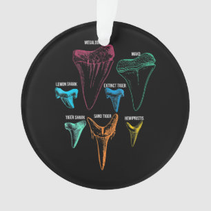 Ornamento Chave de Identidade de Caça-Dentes de Tubarão
