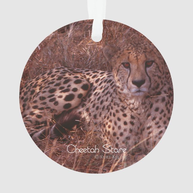 Ornamento Cheetah Stare (Verso)