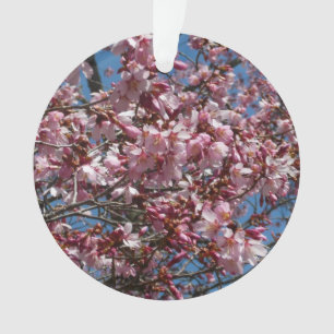 Ornamento Cherry Blossoms e Blue Sky Primavera Floral