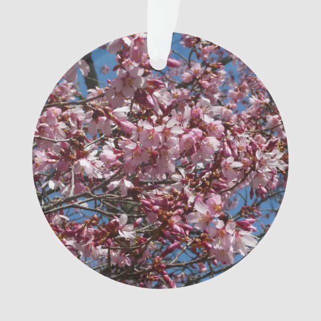 Ornamento Cherry Blossoms e Blue Sky Primavera Floral (Frente)