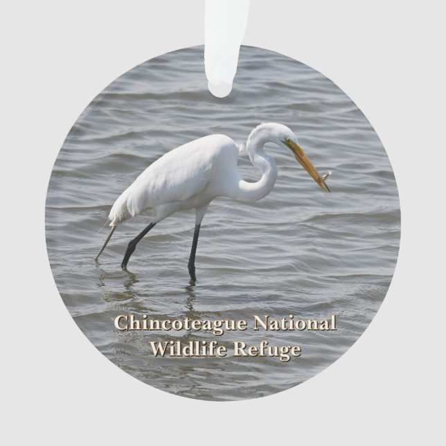 Ornamento Chincoteague Excelente Nacional da Vida Selvagem H (Frente)