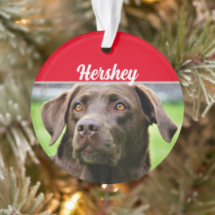 Ornamento Chocolate Labrador com nome e foto de Natal