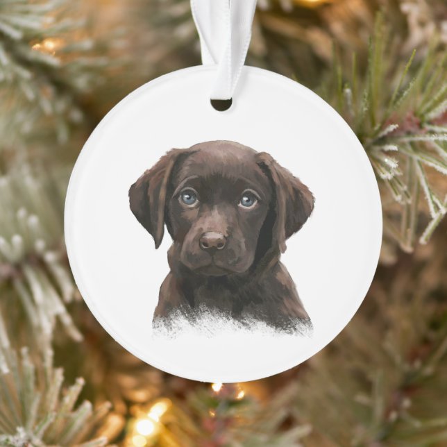 Ornamento Chocolate Labrador Puppy (Árvore)